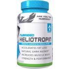 NUBREED Heliotropin 63 kap.