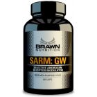 BRAWN SARM:GW 60 kap.