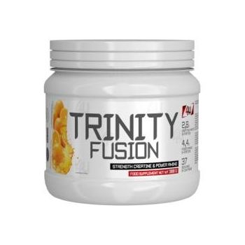 4U NUTRITION Trinity Fusion 300g 4U NUTRITION Trinity Fusion 300g