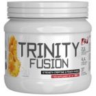 4U NUTRITION Trinity Fusion 300g