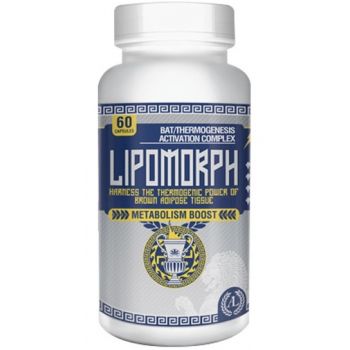 ANTAEUS LABS Lipomorph 90 kap.