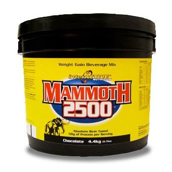 INTERACTIVE Mammoth 2500 4,4kg INTERACTIVE Mammoth 2500 4,4kg