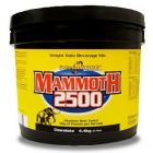 INTERACTIVE Mammoth 2500 4,4kg