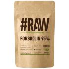 #RAW Forskolin 95% 120 kap.