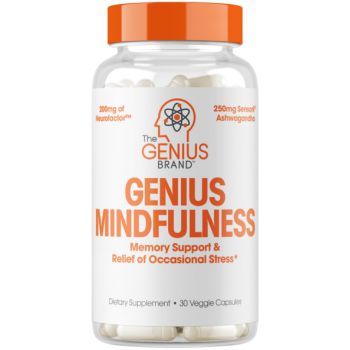 THE GENIUS BRAND Genius Mindfulness 30 kap.