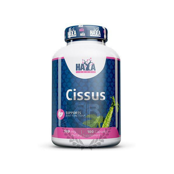 HAYA LABS Cissus Extract 100 kap.