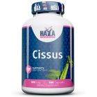 HAYA LABS Cissus Extract 100 kap.