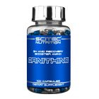 SCITEC Ornithine 100 kap.