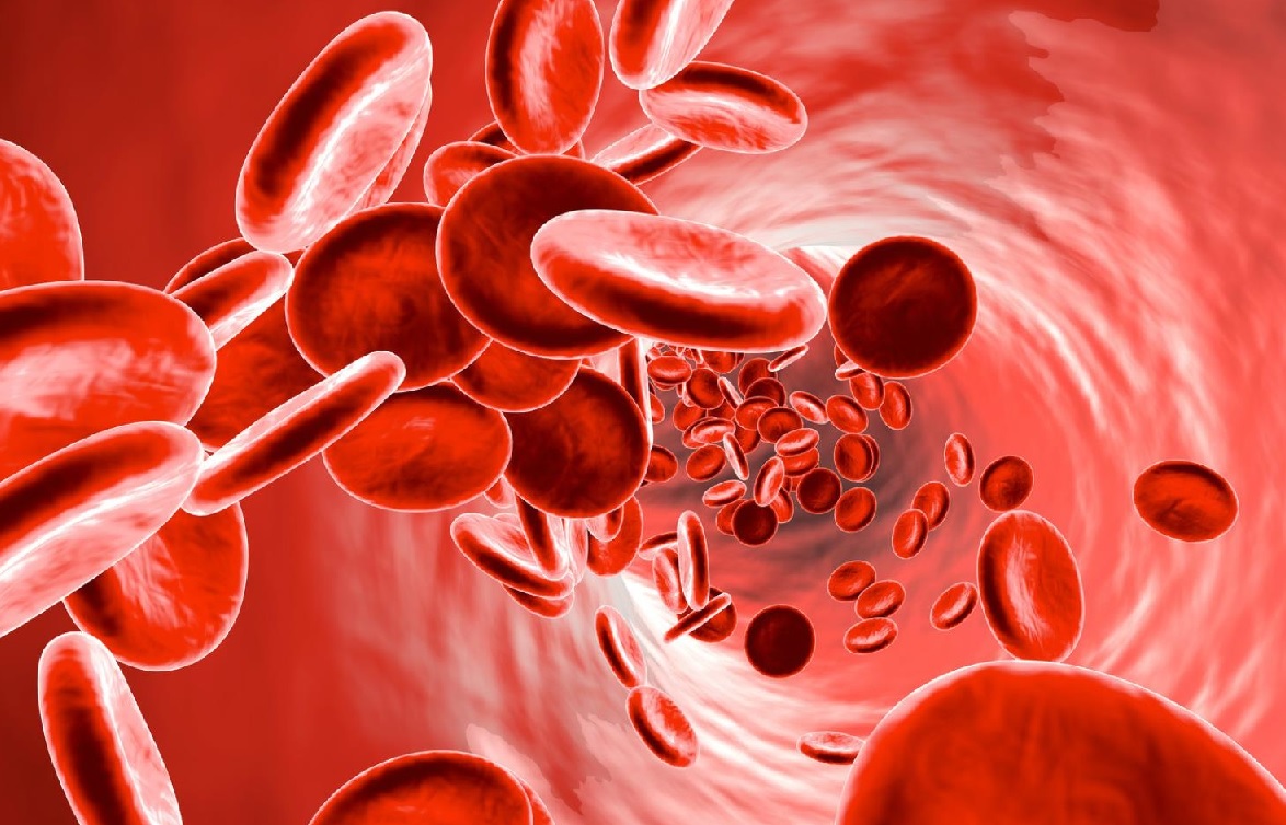 Anemia i niedokrwistość – jak zapobiegać?
