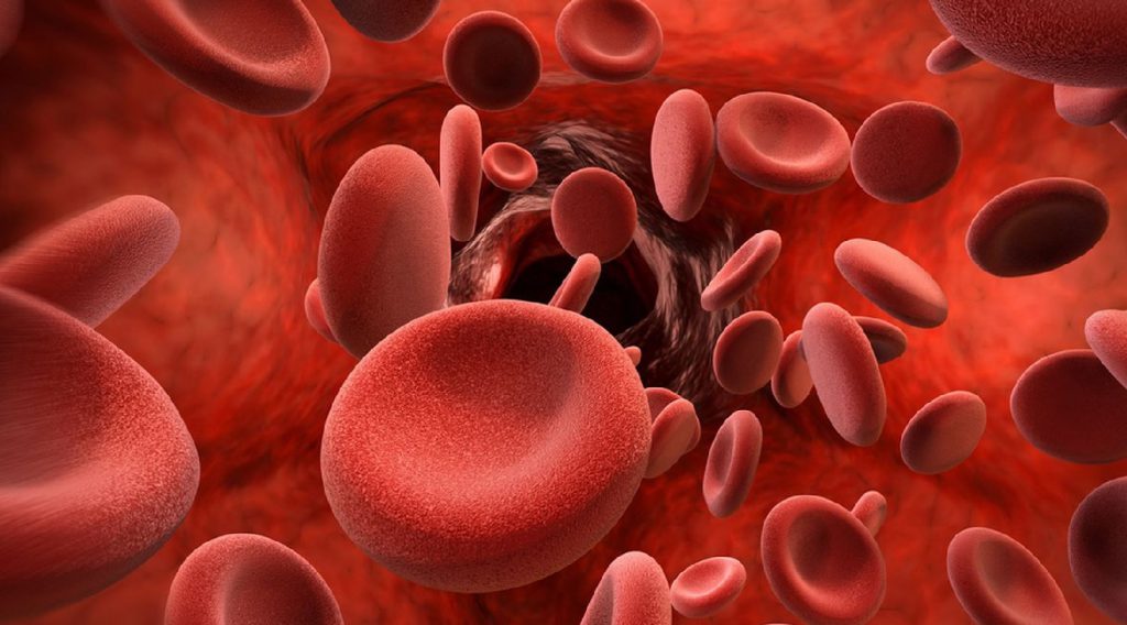 Rola hemoglobiny