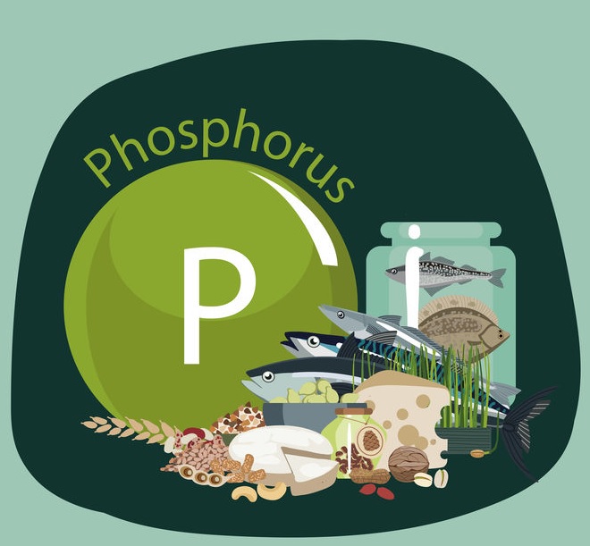 Niedobór fosforu