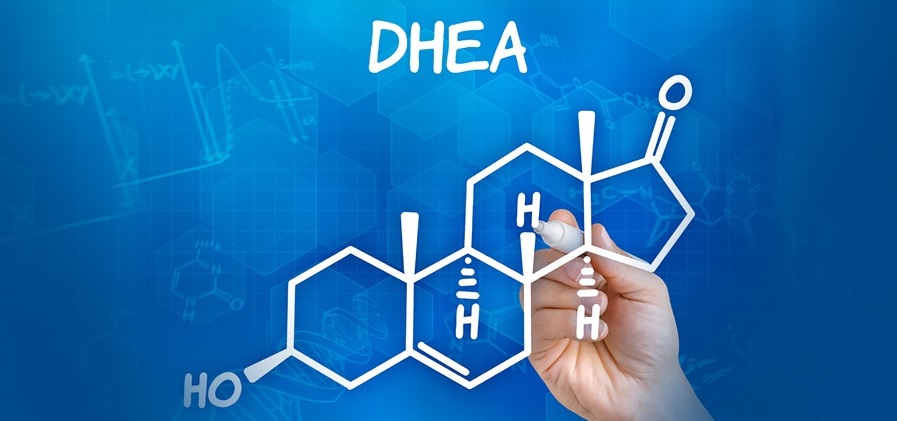 DHEA-wszystko o Dehydroepiandrosteronie