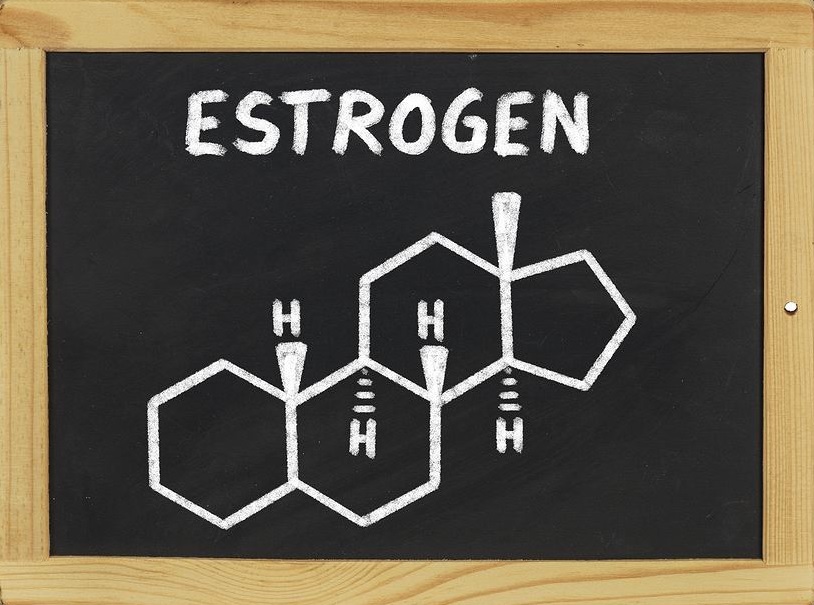 Estrogen a odchudzanie