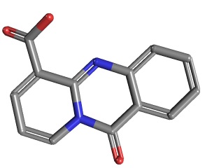 11-oxo arimsitane opinie efekty w płynie