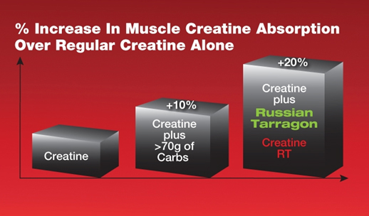 creatine rt opinie i działanie