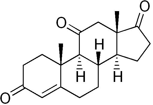 Adrenosterone opinie i działanie