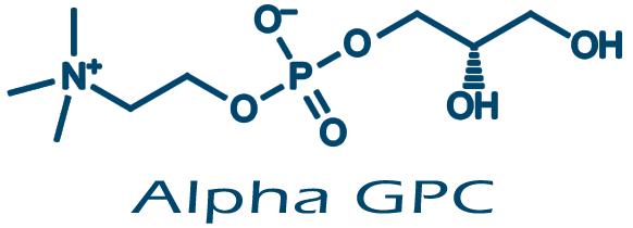 alpha gpc opinie i działanie Alfosceran choliny
