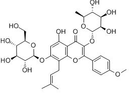 ikaryna w pure horny goat weed extract oraz sklep