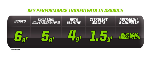 muscle pharm assault działanie