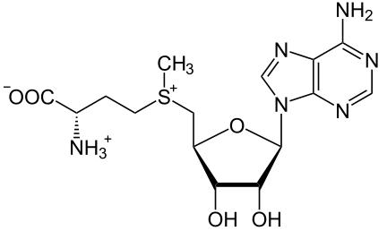 now foods same S-Adenozylometionina opinie