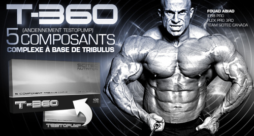 scitec nutrition t-360 opinie i działanie