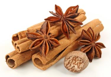 swanons cinnamon extract opinie