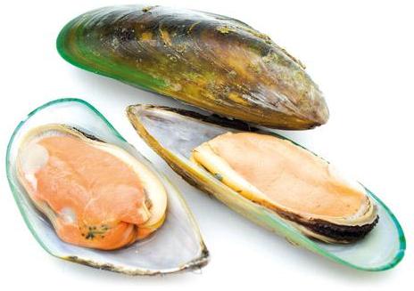 green lipped mussel opinie sklep nowozelandzka zielona małża