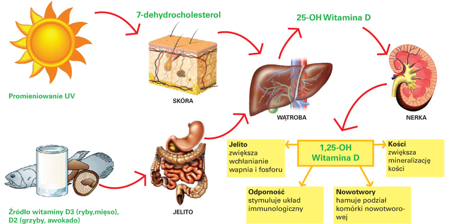 witamina d3 now foods opinie sklep