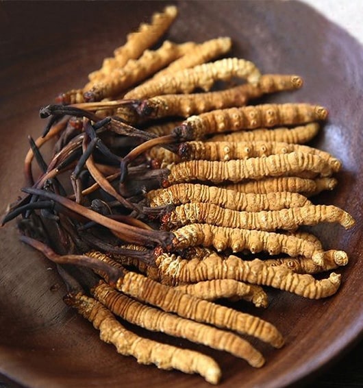 7Nutrition Cordyceps - opinie i działanie