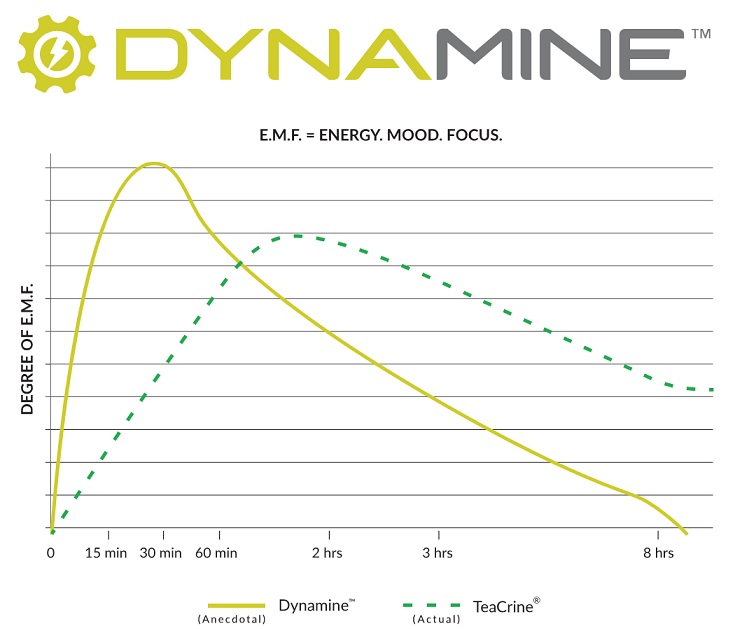 Dynamine - opinie, efekty i badania