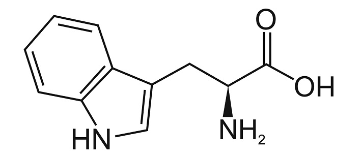 Haya Labs L-Tryptophan - opinie i działanie