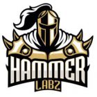 Hammer Labz